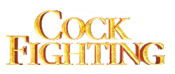 Cock fighting by เว็บสล็อตตรงไม่ผ่านเอเย่นต์